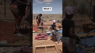 Off-Griddesert Approved