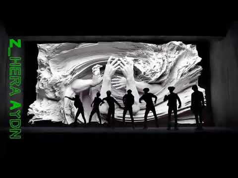 BTS-Fake Love__Türkçe olursa(Efe Burak Cover)
