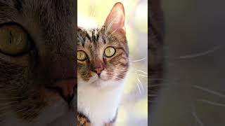 Httpswwwyoutubecomwatchvepjswuvbwzcu0026t0s