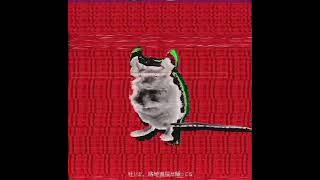 antidepressants/可不。