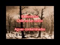 Radiotetaro aguas contaminadas (el cuero) "Chile en un relato"