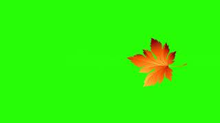 #футаж#кленовий лист#осінь#Maple Leaf#кленовый лист#хромакей#footage for video