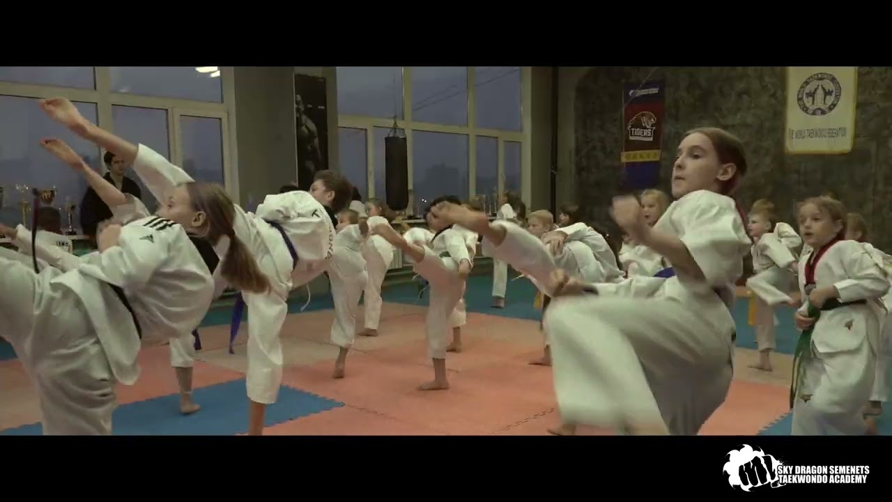 Семинар С Мастером Тён Киль Ён. Taekwondo Semenets TEAM 023 03 21 001 HD