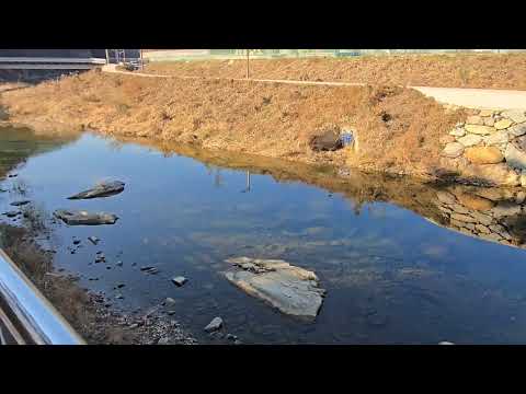 일광천