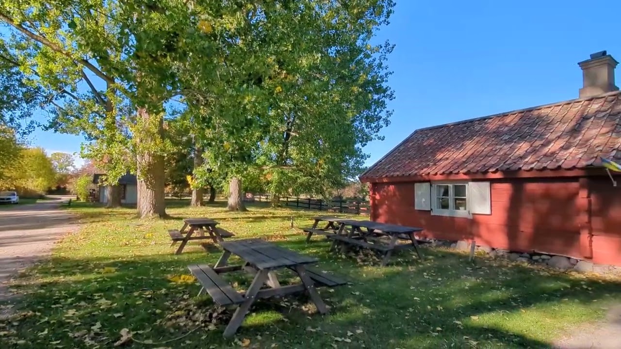 Elma cafe - outdoor environment