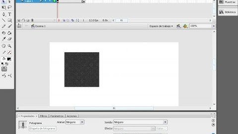 Video Tutorial-Flash-CS3