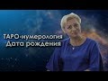 ТАРО-нумерология | Дата рождения | Оливия Линг