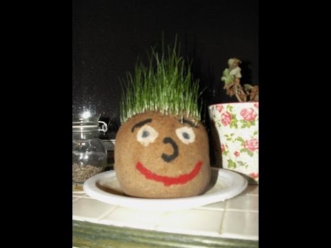 How To Make A Grass Head