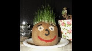 How To Make A Grass Head