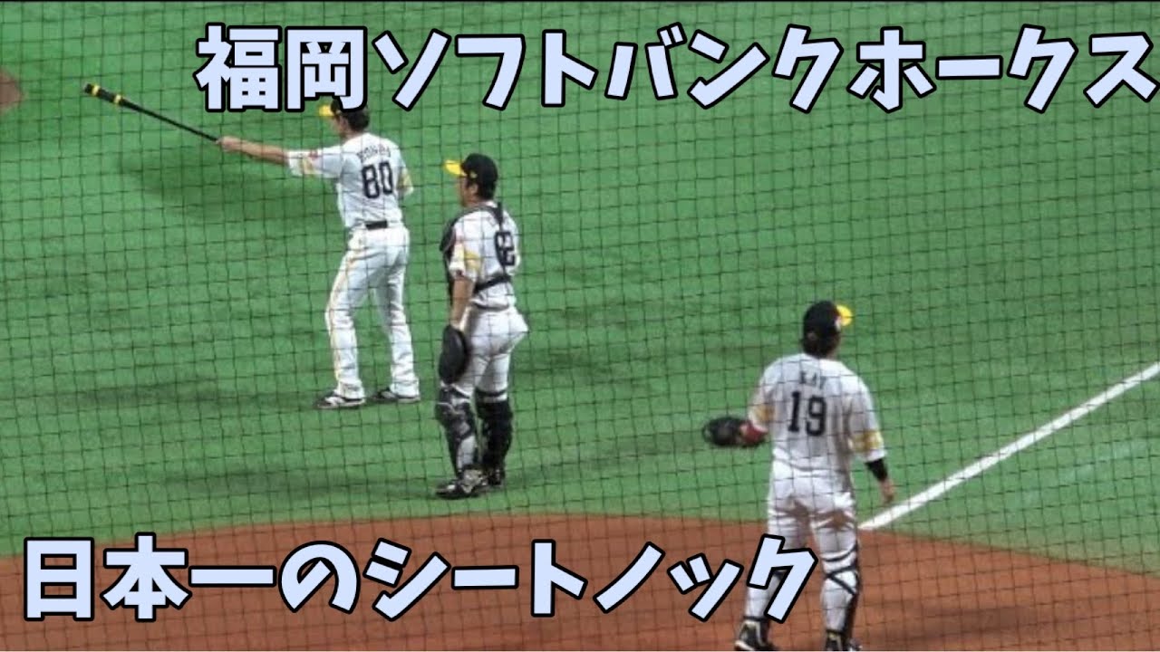 外野陣が本気モード‼️リーグ制覇へ死角なしの守備力披露 👹ソフトバンクホークスシートノック（フルver.）✊2024.8.11⚾️PayPayドームより