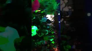 Laynee @ Flashback, July 20th 2019