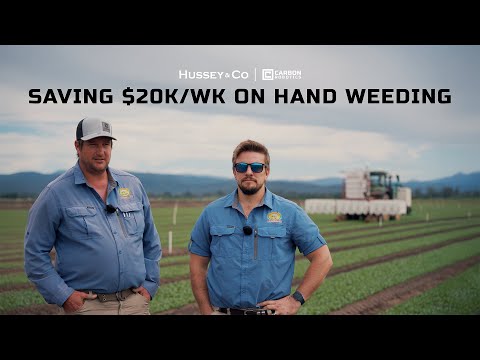 How Hussey Cut $20,000/Week in Hand Weeding Costs with LaserWeeder G2