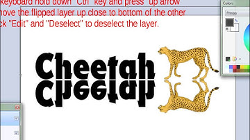 Paint.net: Mirror Text & Mirror Image Tutorial