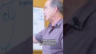 La alimentación correcta para combatir la mala digestión.