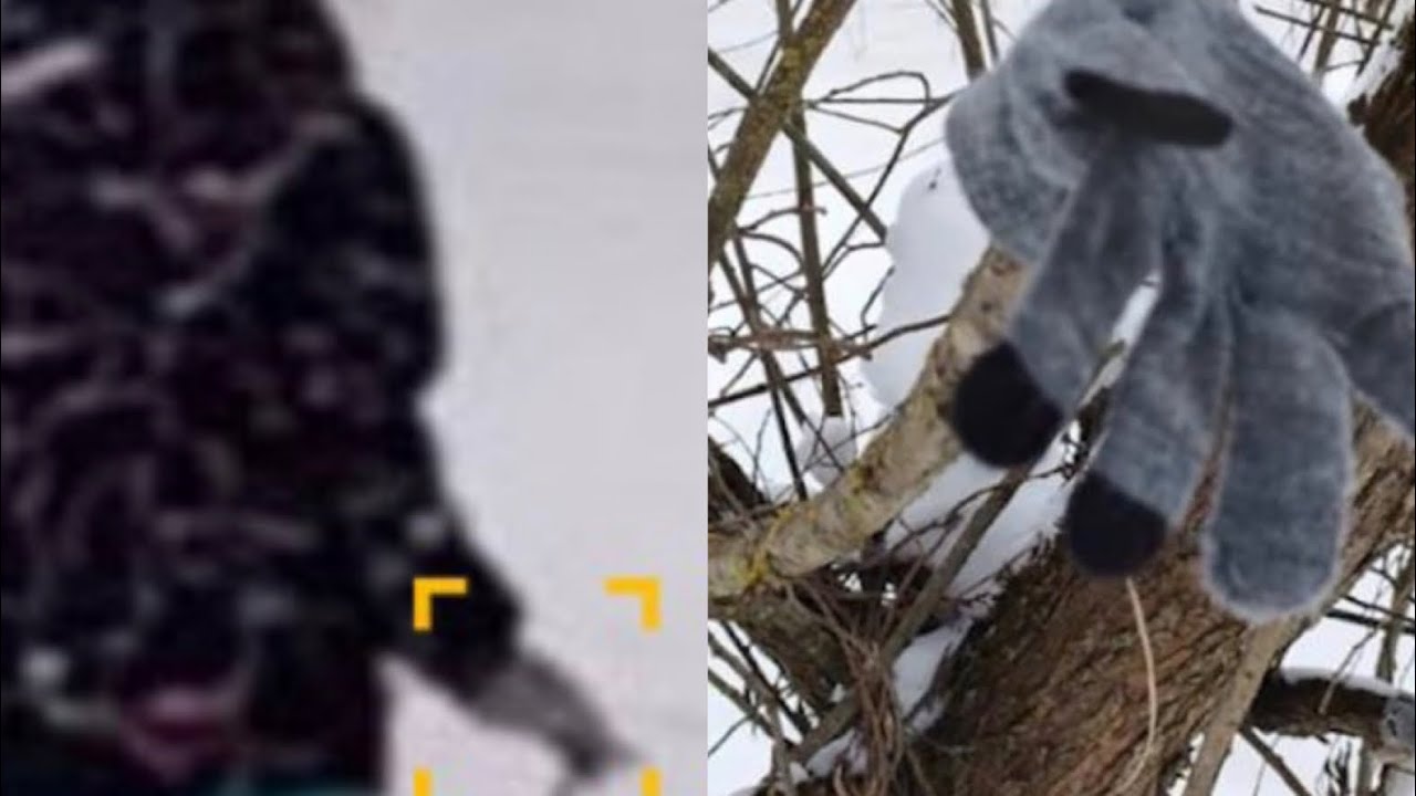 Найдена перчатка предположительно потерявшейся в Смоленске девочки