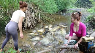 Full Video: Survival skill - How to catch fish with a pump, Catch a lot of fish, Sell fish at market