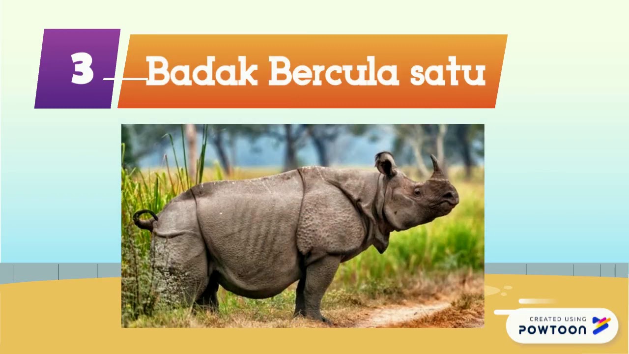 10 Hewan yang Paling Dilindungi di Indonesia YouTube