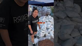Fresh Hazelnut Harvest 2026: Direct Farm Fresh Roasted Hazelnuts 🌰 #hazelnuts
