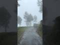 weather 🍃🌥️ #srilanka #shortsfeed #trending #viral #explorepage #misty