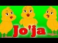 Joja        