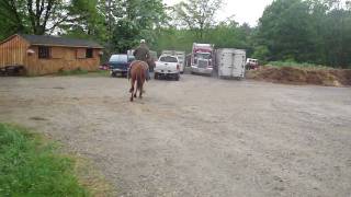 M4H02804.MP4