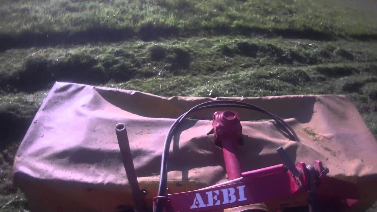 Gras mähen um Bäume mit AEBI TT33