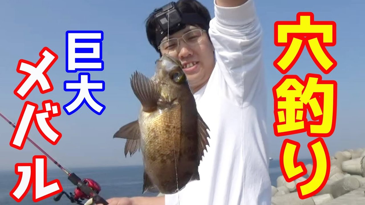まじ釣れる】穴釣りで爆釣する「2本針」仕掛け - YouTube