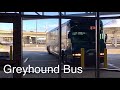 [ USA Bus ] Greyhound Bus #4591 from Grand Rapids to East Lansing Michigan
