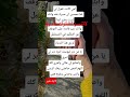 أمي كانت تقول لي كلما تحسين ان صبرك نفذ ونك لست بخير ابد ونك غير قادر علئ التوقف