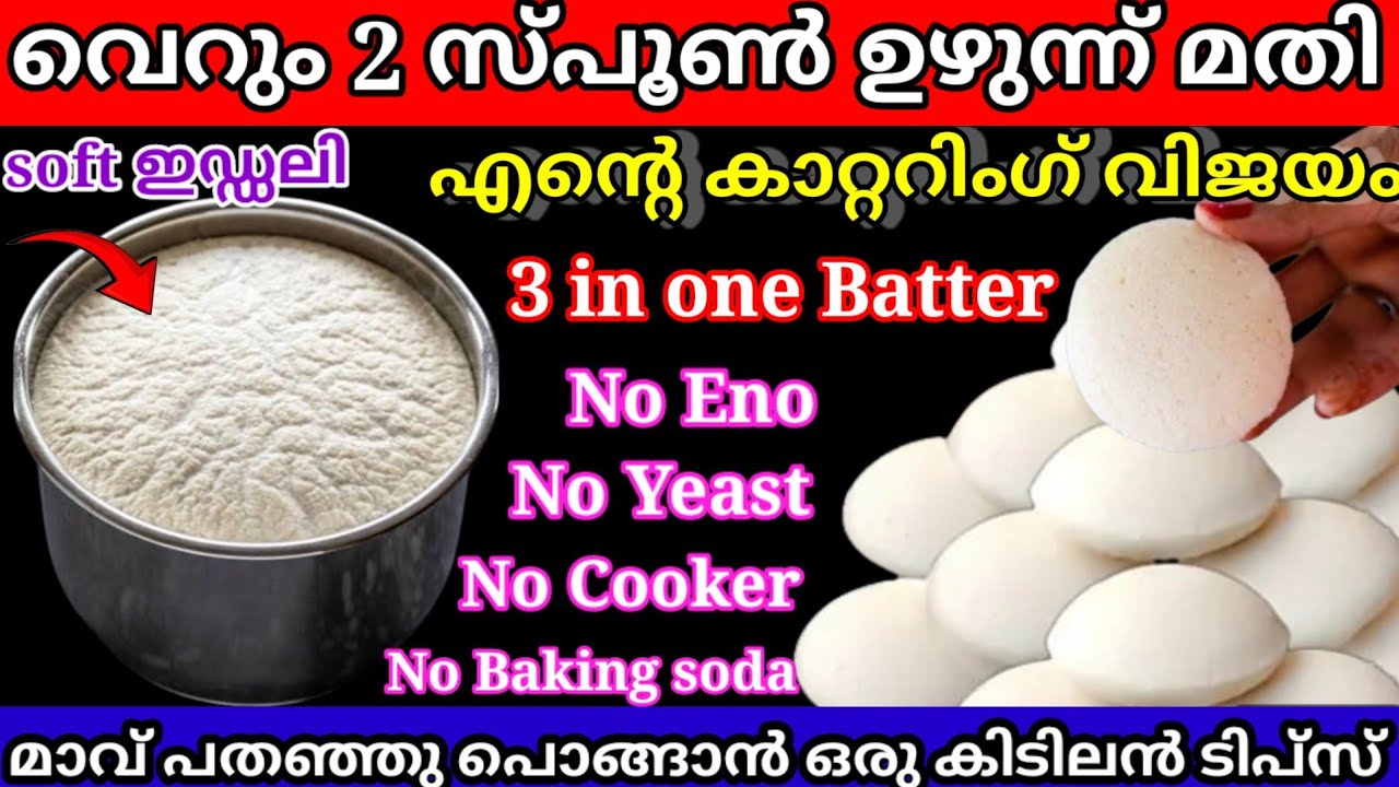 ഇങ്ങനെ ചെയ്യൂ വെറും 2സ്പൂൺ ഉഴുന്ന് മതി ലിറ്റർ കണക്കിന് മാവ് മിക്സിയിൽ അരച്ചെടുക്കാം |viral tips