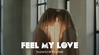 Feel My Love (slowed and reverb) | Diljit Dosanjh