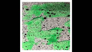 Balfa - Fragmento Blf Lab Fallen Metropolis, Fam028