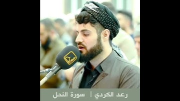 رعد الكردي - من سورة النحل