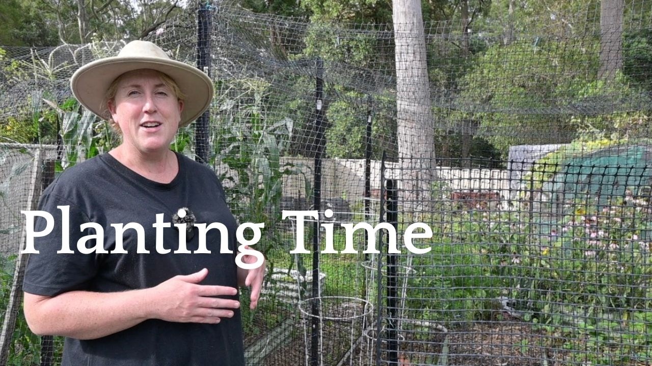 Заканчиваем обустройство ягодных грядок перед рождением малыша.