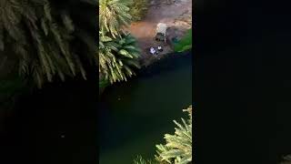 ‏وادي خضره الواقع في جنوب ‎#المدينة_المنورة في منطقة وادي الفرع 🌳🍃🌾🌱