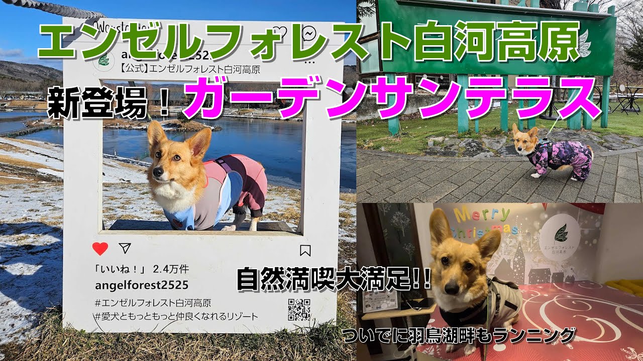 【エンゼルフォレスト白河高原】新登場したガーデンサンテラスに泊まってきたよ🐾