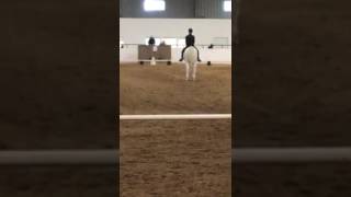 Third Level Test 2-Valerie Golden and Listo VI