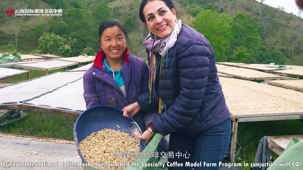 An Introduction to Yunnan International Coffee Exchange (China) 云南国际