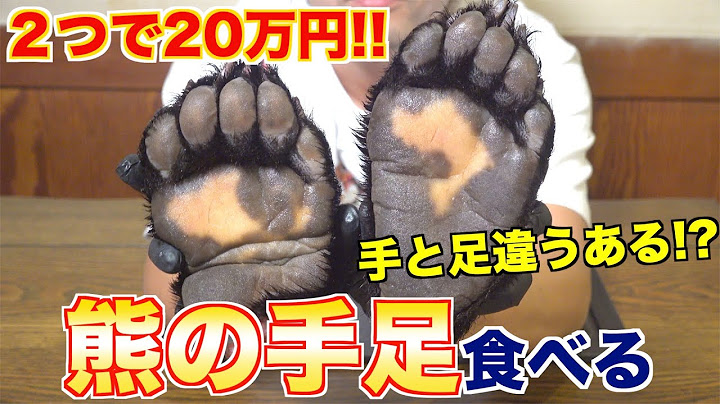 【超高級食材】熊の手と足、違いを比べてみた!!どっちが美味い!?