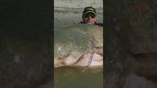 Ohio River Monsters #shorts #ohioriver