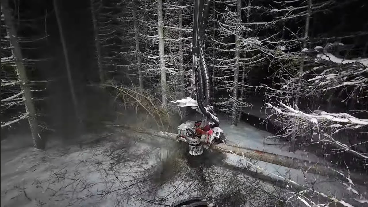 Lehtikuusikkoa. Komatsu 931 Logmax 5000D