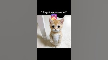 “i forgot my password”