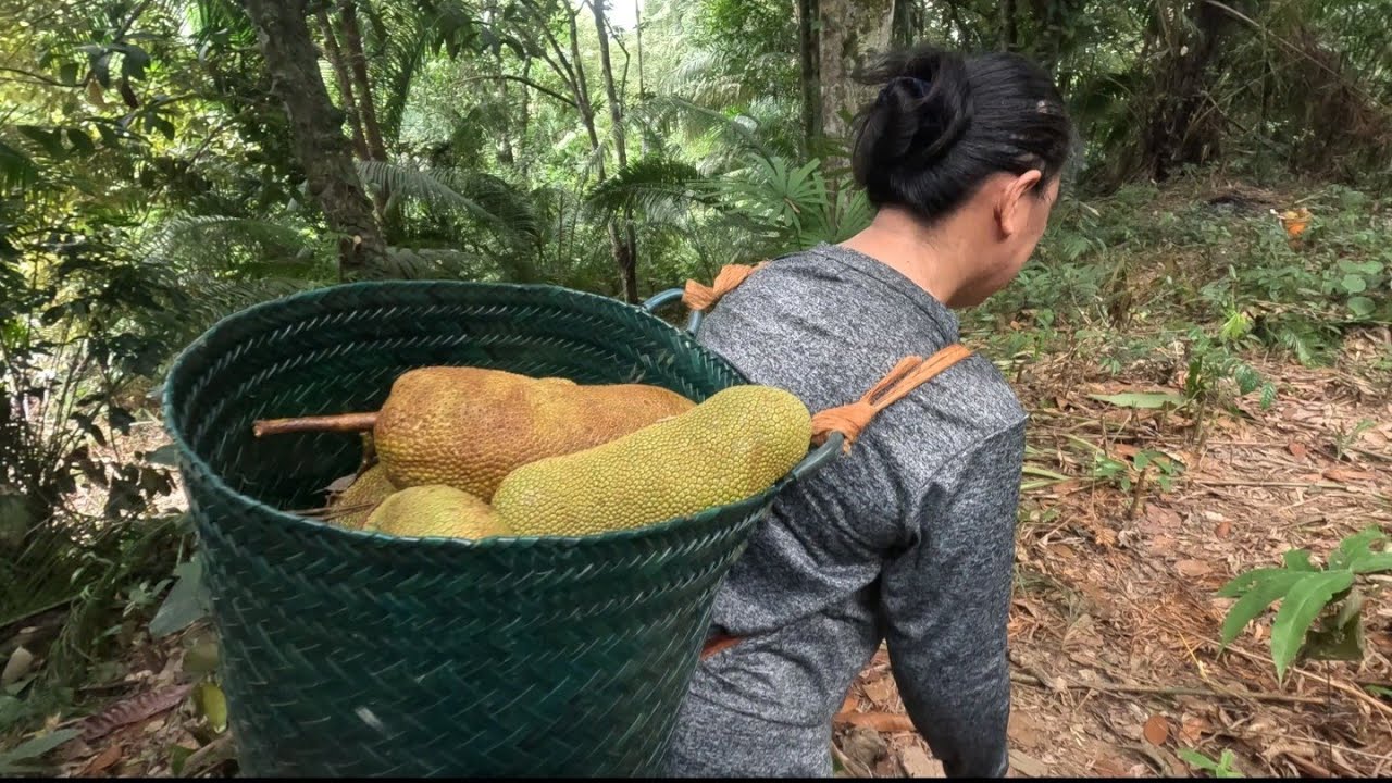 Durian hampir mahu habis tingal. buah cempedak masih banyak di kebun