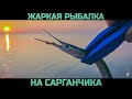 ЖАРКАЯ РЫБАЛКА на САРГАНЧИКА. Щедрая раздача рыбы НА БОМБАРДУ.