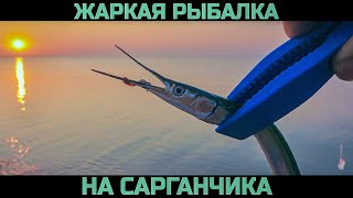 ЖАРКАЯ РЫБАЛКА на САРГАНЧИКА. Щедрая раздача рыбы НА БОМБАРДУ.