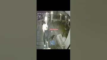 هدير عبد الرازق فيديو جديد اوعى الفخده مصر هدير عبد الرازق اكسبلور ترند ترندات Capcut Fyp 