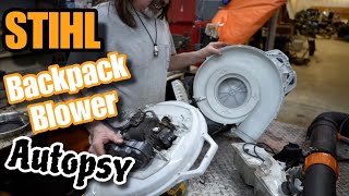 Why are these STIHL BR 800’s hard to start? Let’s Crack The Code by Taryl Fixes All 87,969 views 1 month ago 1 hour, 1 minute