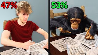 Can my Roommates pass the CHIMP TEST?