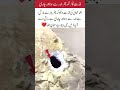 Nature's Miracle Gold and silver inside a stone!#islamicshorts #islamicvideo #viralvideo #duet
