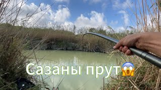 картинка: Сазаны ПРУТ😱 Удочка в дугу!!! Рыбалка на поплавок!!!